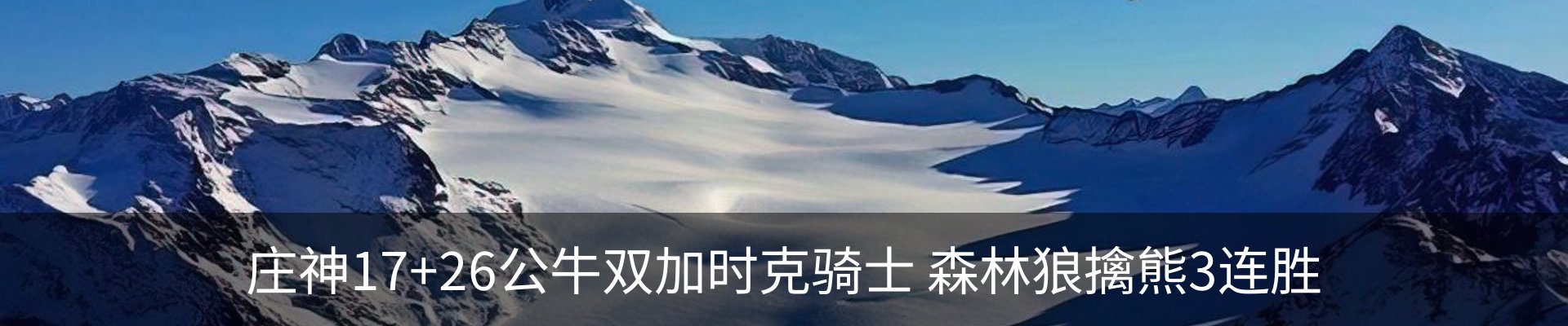 最新动态