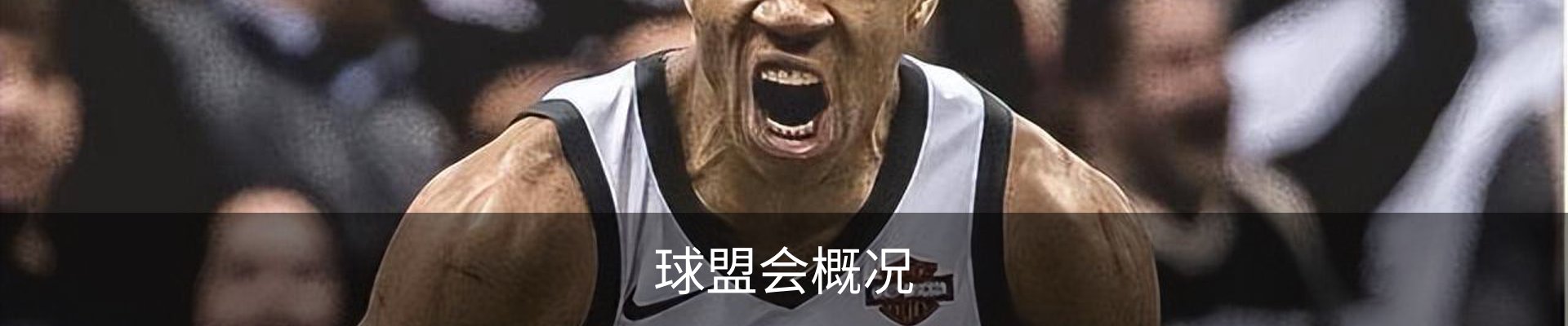 球盟会概况